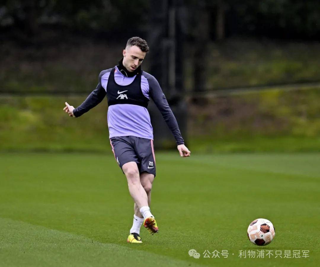 一天一篇日记50字-开云体育下载